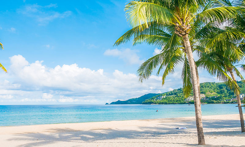 Галерея фото